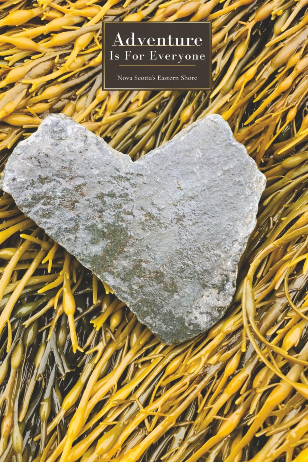 Adventure Is For Everyone: Nova Scotia's Eastern Shore: Discover, Explore, and Remember Your Adventures on the Eastern Shore