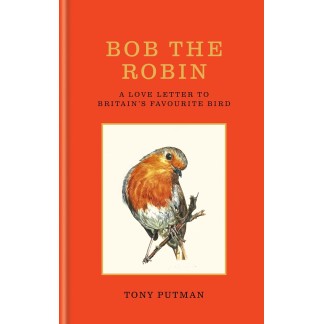Bob the Robin: A love letter to Britain’s favourite bird Hardcover
