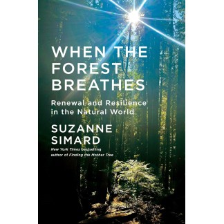 When the Forest Breathes: Renewal and Resilience in the Natural World