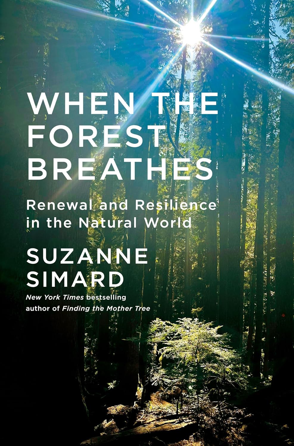 When the Forest Breathes: Renewal and Resilience in the Natural World