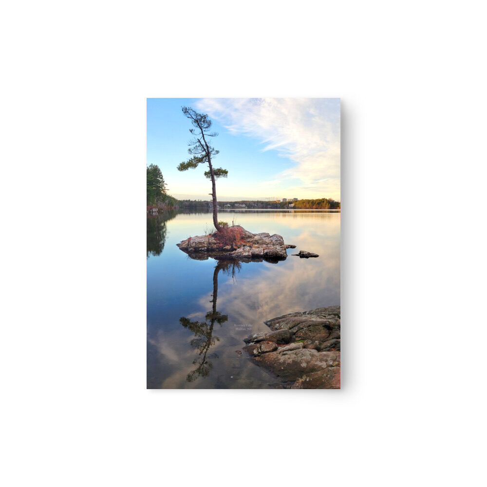 Kearney Lake - Halifax, Nova Scotia (Print) - Image 8